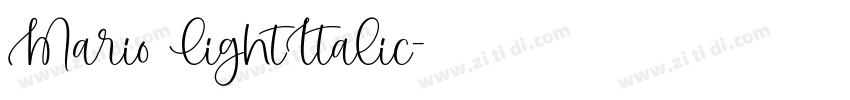 Mario LightItalic字体转换